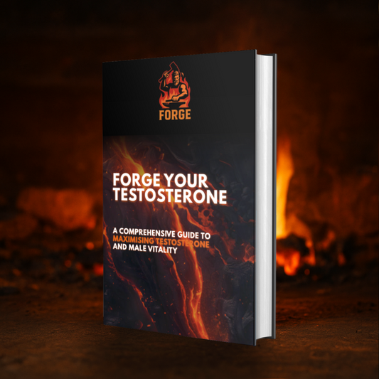 FORGE YOUR TESTOSTERONE: A comprehensive guide to maximising testosterone and male vitality